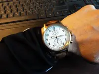steinhart.webp