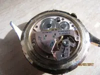 IMG_0208 (Small).webp