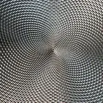 grain-de-riz-cir.webp