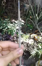 Electrodo.webp