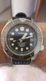16832379_10154999925289919_1597554495371662014_n.webp