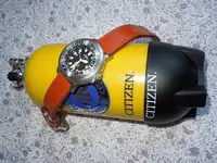 Ecozilla Titanio 1.webp