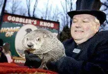 marmota3-300x206.webp