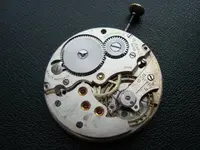 phpvCLqazAM.webp