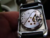 7 (Large).webp
