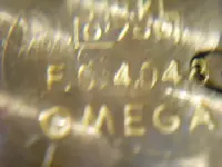 DSCN0215.webp