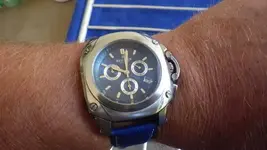 IMGP0010.webp