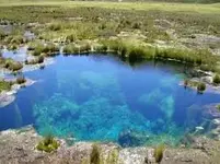 images-2.webp