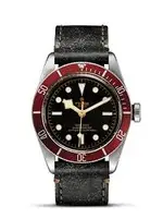 tudor cuero.webp