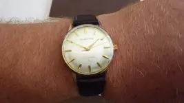 IMGP0016.webp