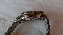 P1120566.webp