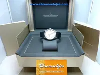 P1110488.webp