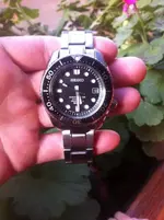 16938919_10155011311254919_1731164652082017822_n.webp