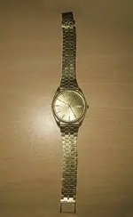 omega oro.webp