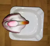 acsre.webp