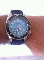 17425930_10155084573579919_1549399967781784680_n.webp