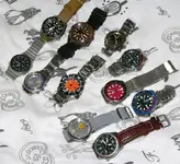 P1050091.webp