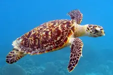 1280_ETRGtJpraa28_0.webp