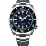SBGH257G.webp