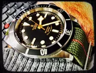 MyTudor03.webp