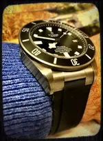 MyTudor04.webp