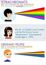 tetrachromats.webp