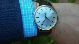 20170420_113817.webp