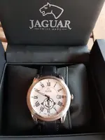 Jaguar1.webp