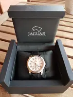 Jaguar2.webp