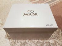 Jaguar4.jpg