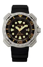 210304_promaster01_BN0220-16E.webp