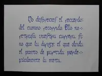 DSCN0309.webp