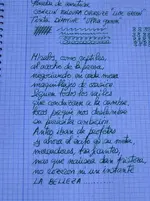 P1010008.webp