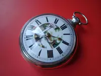 w 004 (Large).webp