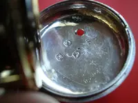 w 024 (Large).webp