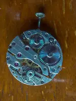 P1030500-LR.webp