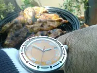 WP_barba1.webp