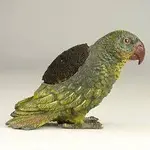 24 parrot pen wipe.webp