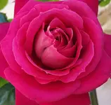 20160520_160320-1-1.webp