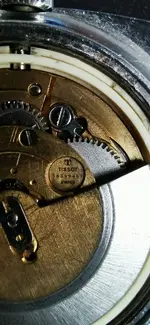 a8ae69331bbc7c6c7223f9e9a627af56.webp