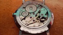 rado2.webp