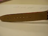 OLYMPUS-DIGITAL-CAMERA.webp