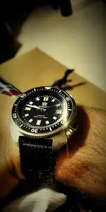 b29e2cc2b8f3542ab46cfc666818d210.webp