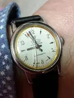 Roamer Supershock 20170331_162503.webp
