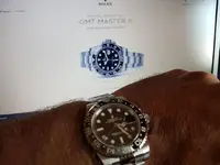 025 Rolex. Rolex GMT Master II 40mm Ref 116710LN.webp