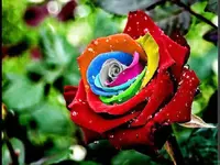IMG-20170422-WA0021.webp