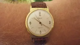 IMGP3059.webp