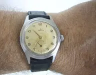 P1080120.webp P1080120.webp