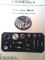 IMG_0415.webp