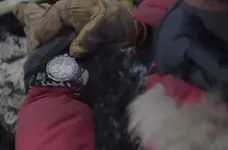 Seiko-Sportura-ssc357-in-arctic-movie.webp